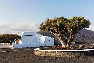 《异形：火力小队》第二季将于12月14日推出